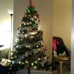 Meet your Posher, Louis